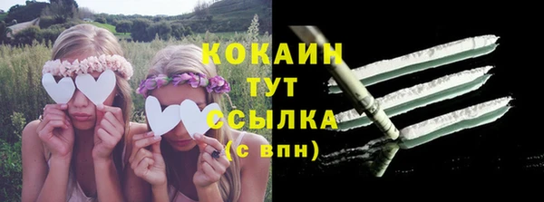 ALPHA-PVP Туринск
