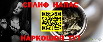 гашик Краснодар