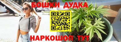 гашик Краснодар