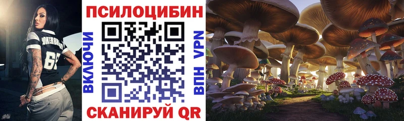 Псилоцибиновые грибы мухоморы Северодвинск