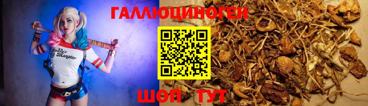 Северодвинск  Псилоцибиновые грибы MAGIC MUSHROOMS  где найти наркотики  Вход с VPN 